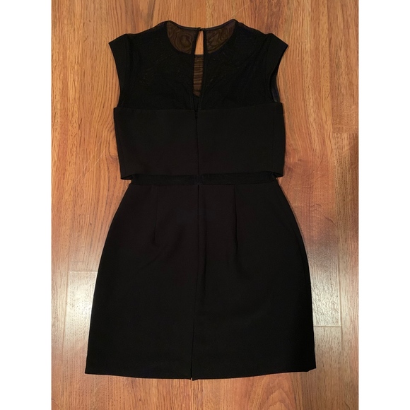 Express Mesh Dress - Picture 3 of 5